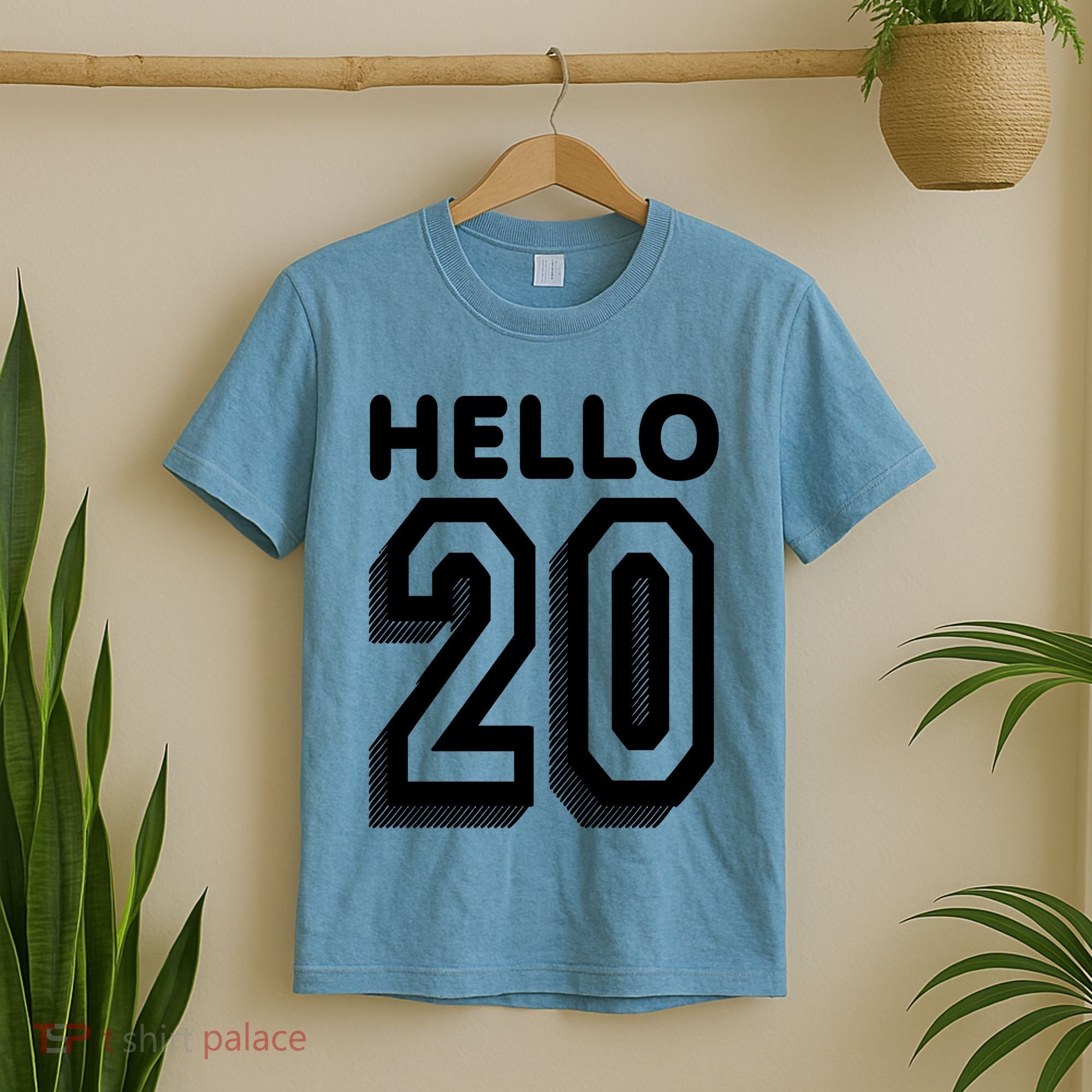 Hello 20 Funny 20th Birthday T-Shirt