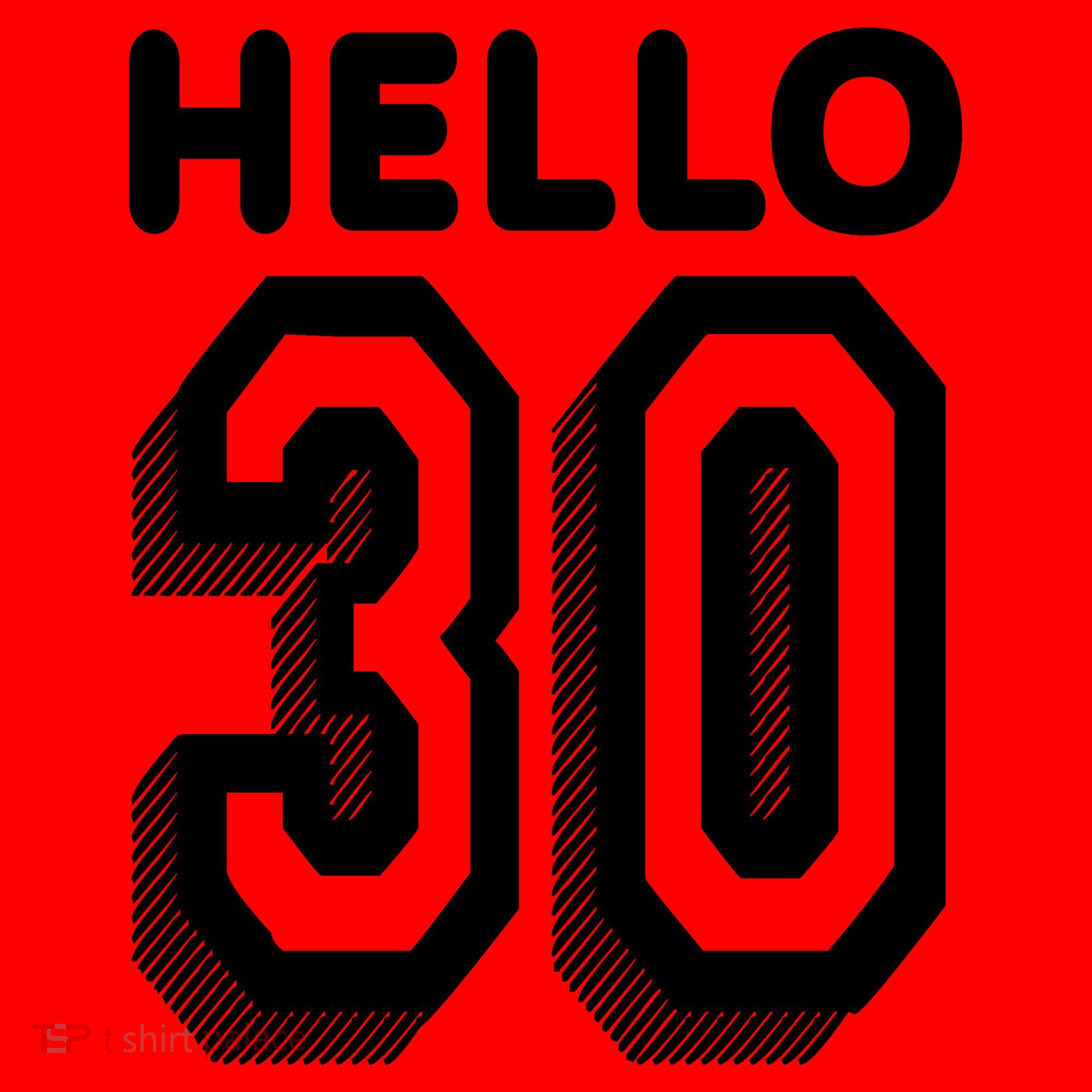 Hello 30 Funny 30th Birthday Santa Hat