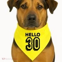Hello 30 Funny 30th Birthday USA-Made Doggie Bandana thumb 1