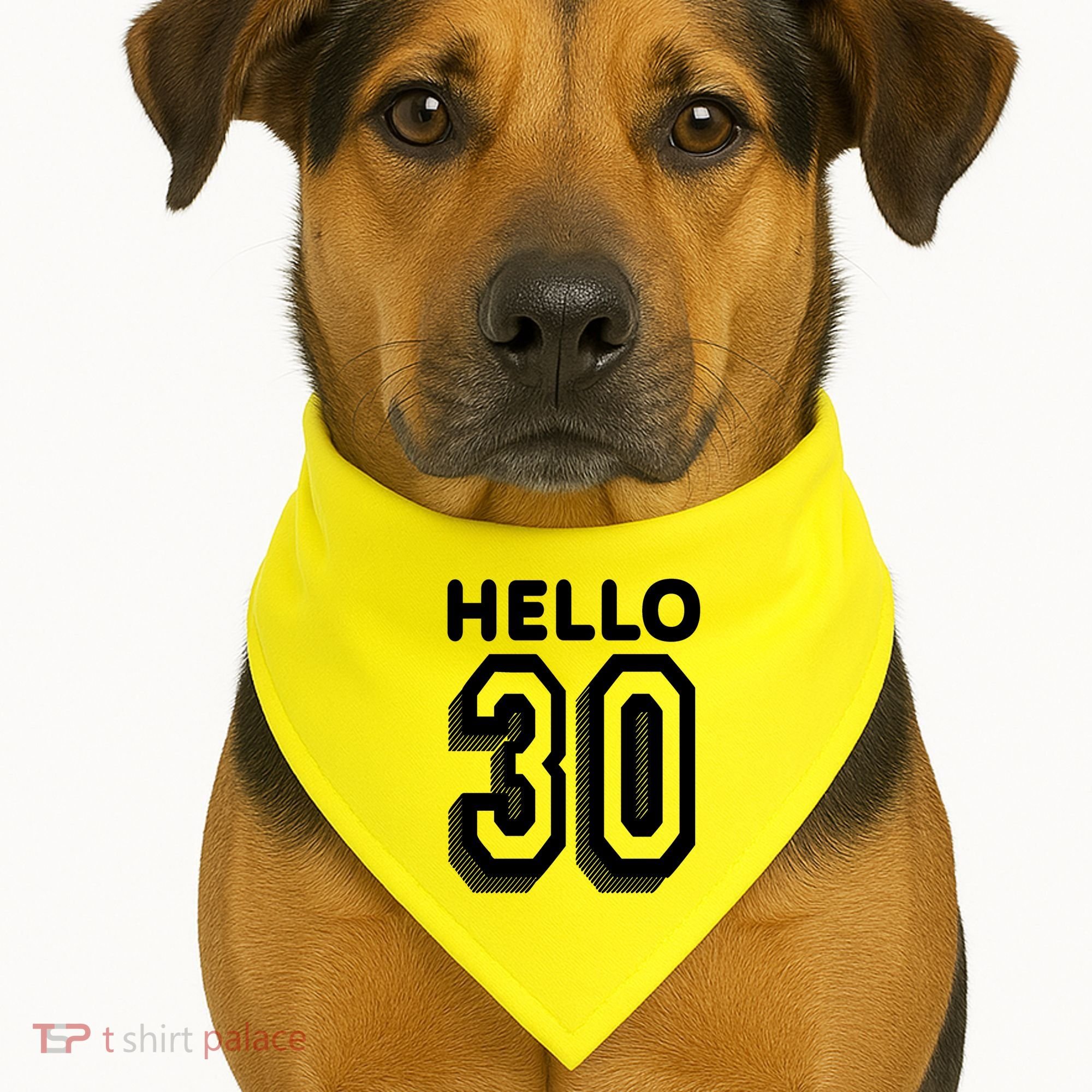 Hello 30 Funny 30th Birthday USA-Made Doggie Bandana