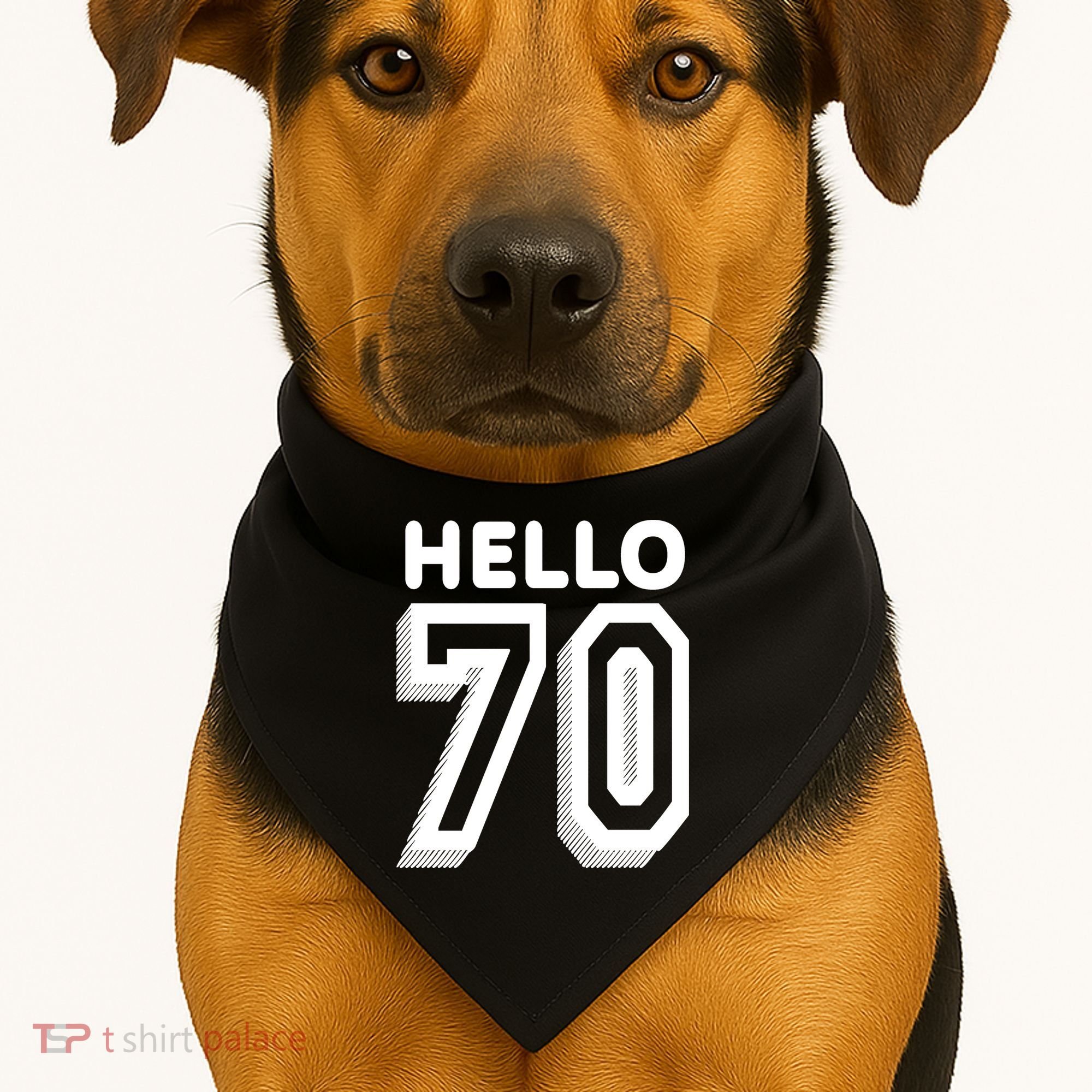 Hello 70 Funny 70th Birthday USA-Made Doggie Bandana