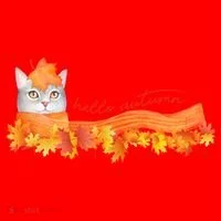 Hello Autumn Cute Cat Santa Hat thumb 1