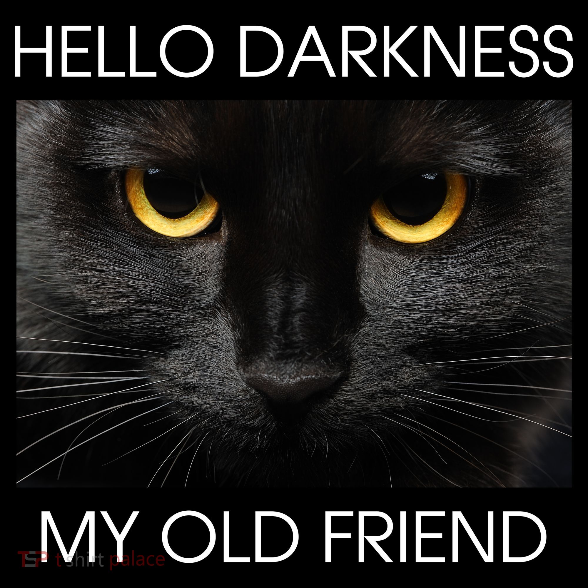 Hello Darkness My Old Friend Cat Sweatshirt