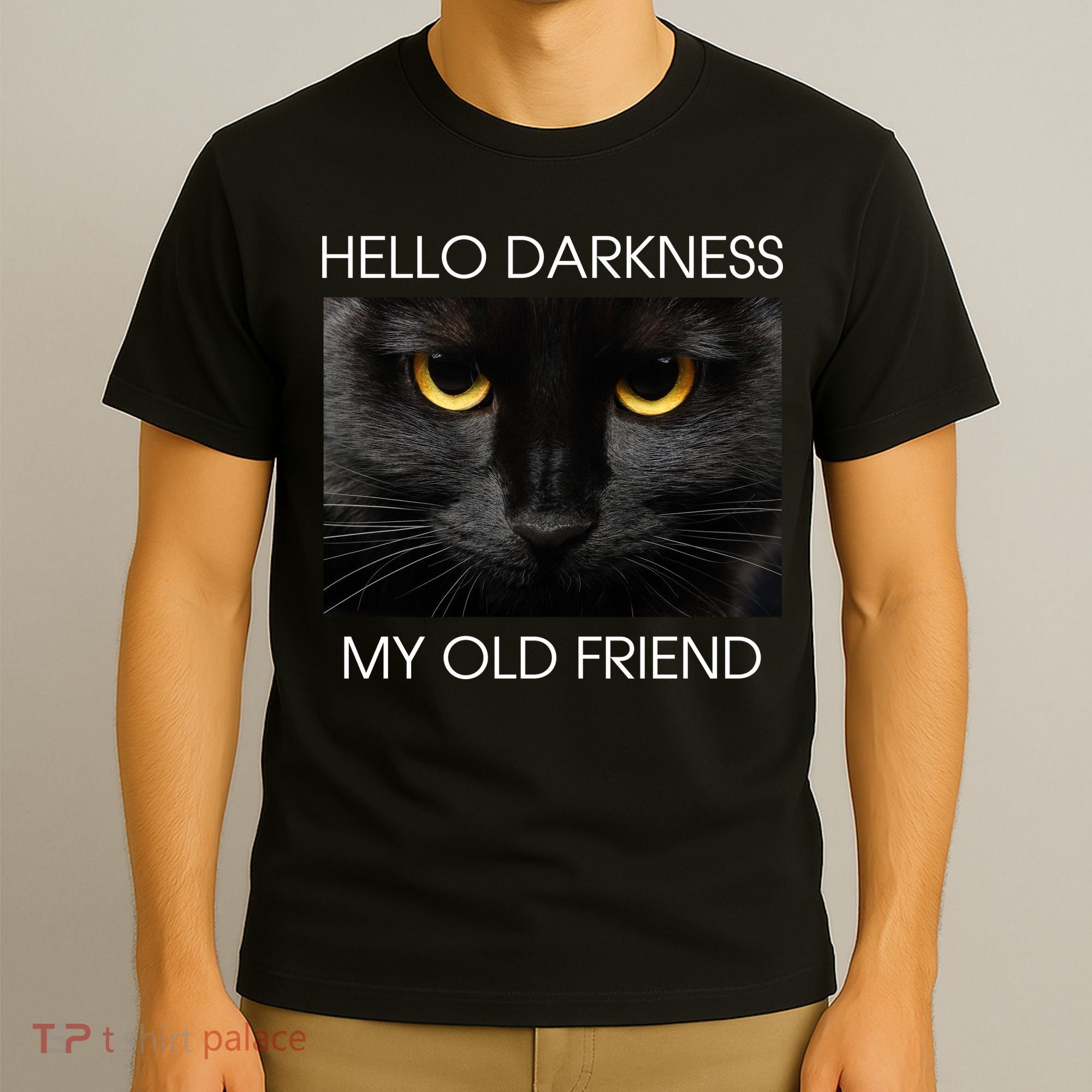 Hello Darkness My Old Friend Cat T-Shirt