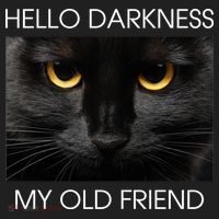 Hello Darkness My Old Friend Cat Beanie thumb 2