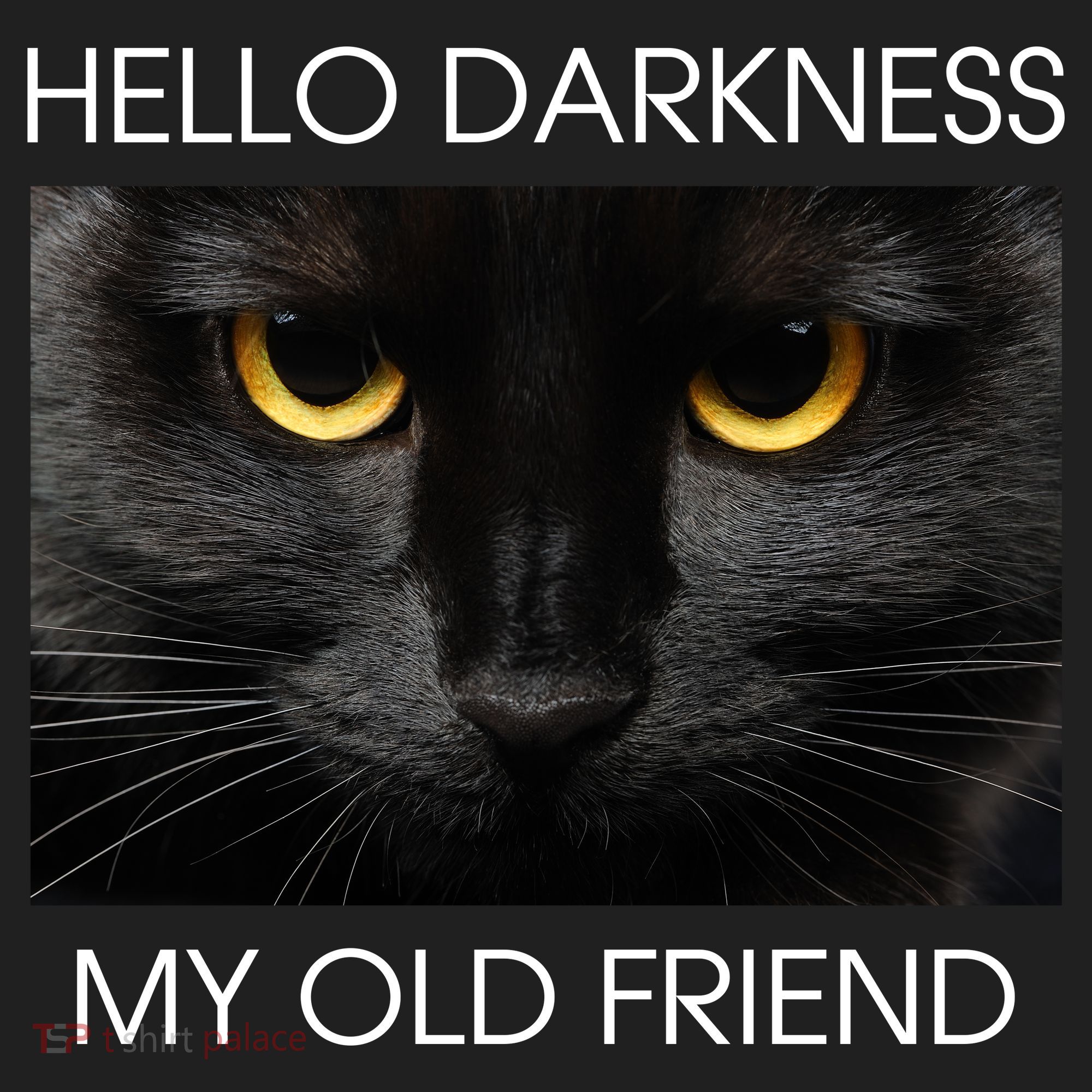 Hello Darkness My Old Friend Cat Beanie