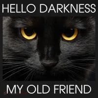 Hello Darkness My Old Friend Cat Women's Hoodie thumb 2
