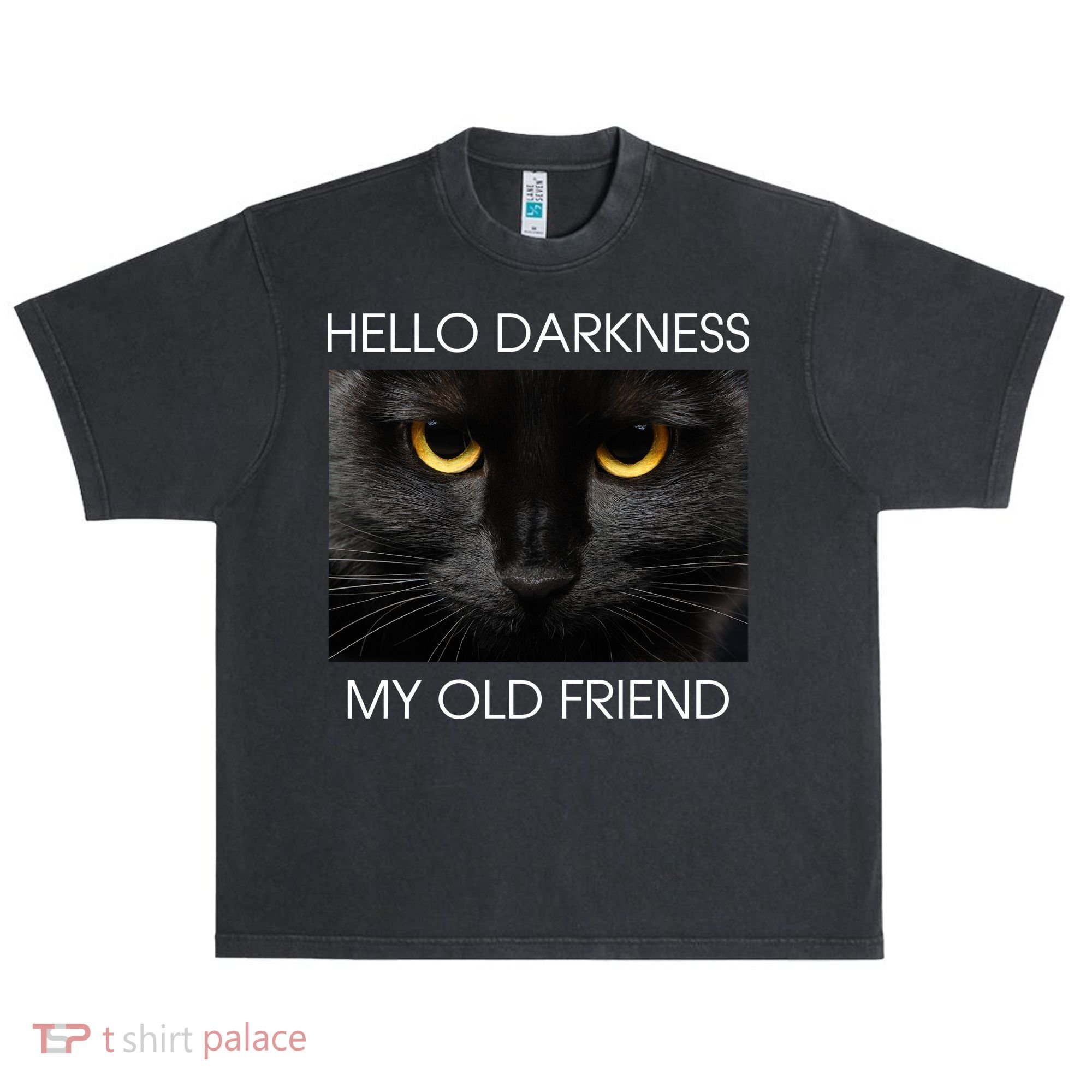 Hello Darkness My Old Friend Cat Urban Oversized Heavyweight T-Shirt