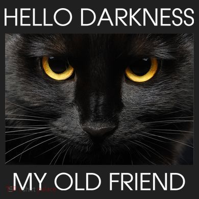 Hello Darkness My Old Friend Cat Urban Oversized Heavyweight T-Shirt