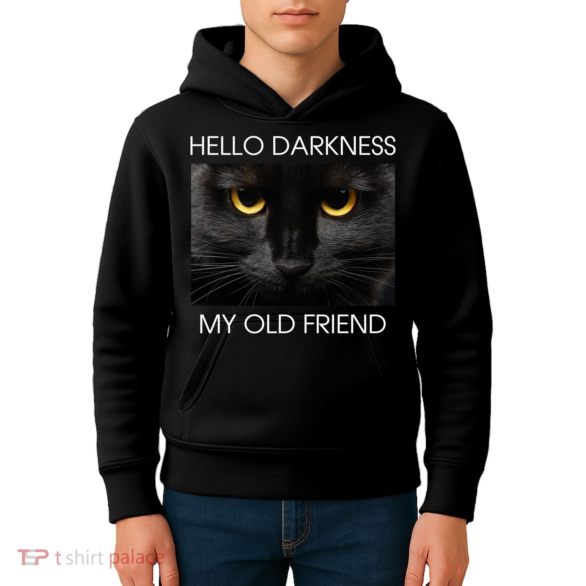 Hello Darkness My Old Friend Cat Kids Hoodie