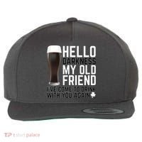 Hello Darkness My Old Friend Funny Drinking Wool Snapback Cap thumb 0