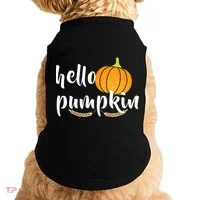 Hello Pumpkin Doggie Tank thumb 0