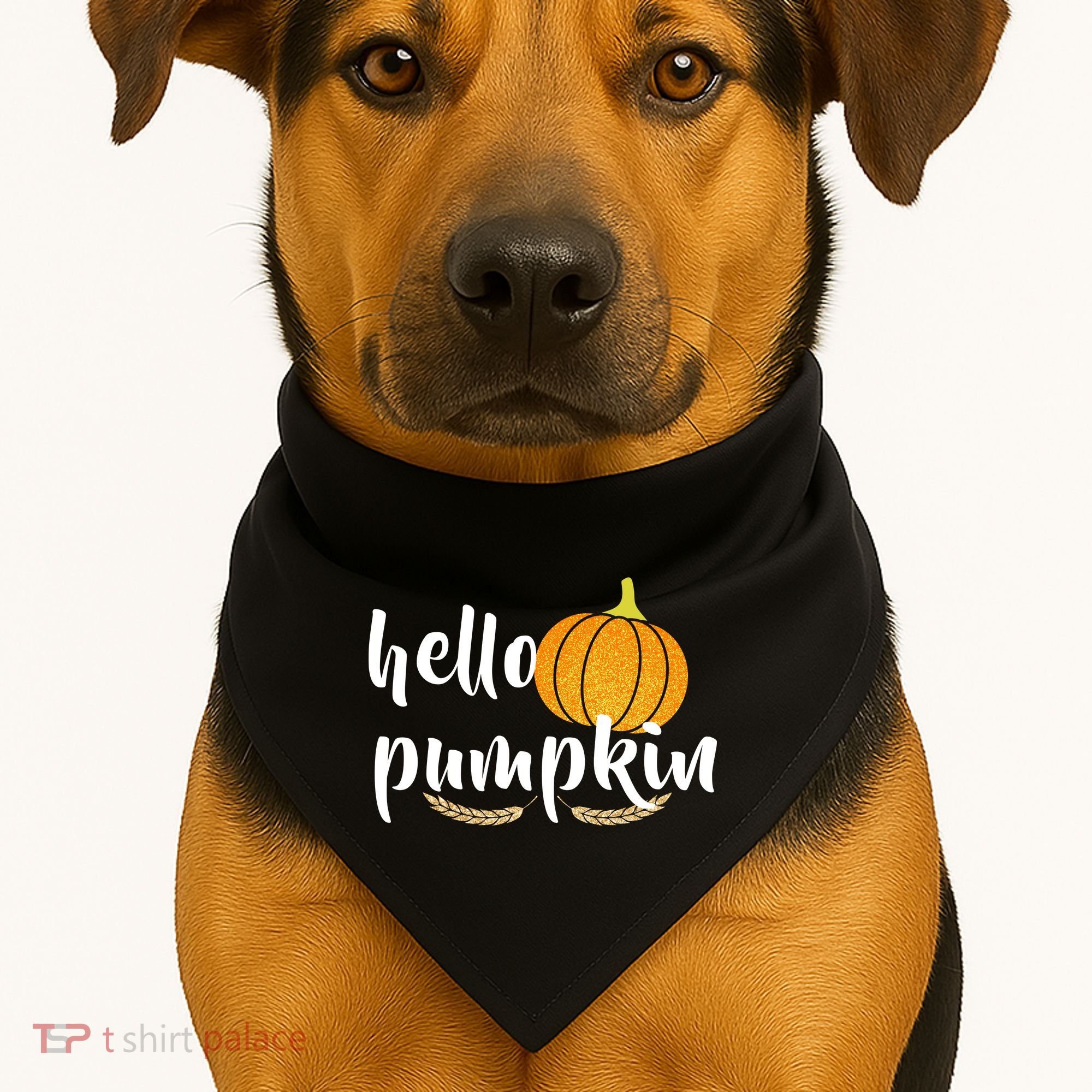 Hello Pumpkin USA-Made Doggie Bandana