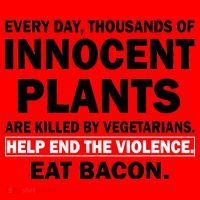 Help End The Violence Eat Bacon  Santa Hat thumb 1