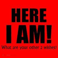 Here I Am! What Are Your Other 2 Wishes? Santa Hat thumb 1