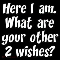 Here I Am, What Are Your Other Two Wishes Women's Hoodie thumb 2