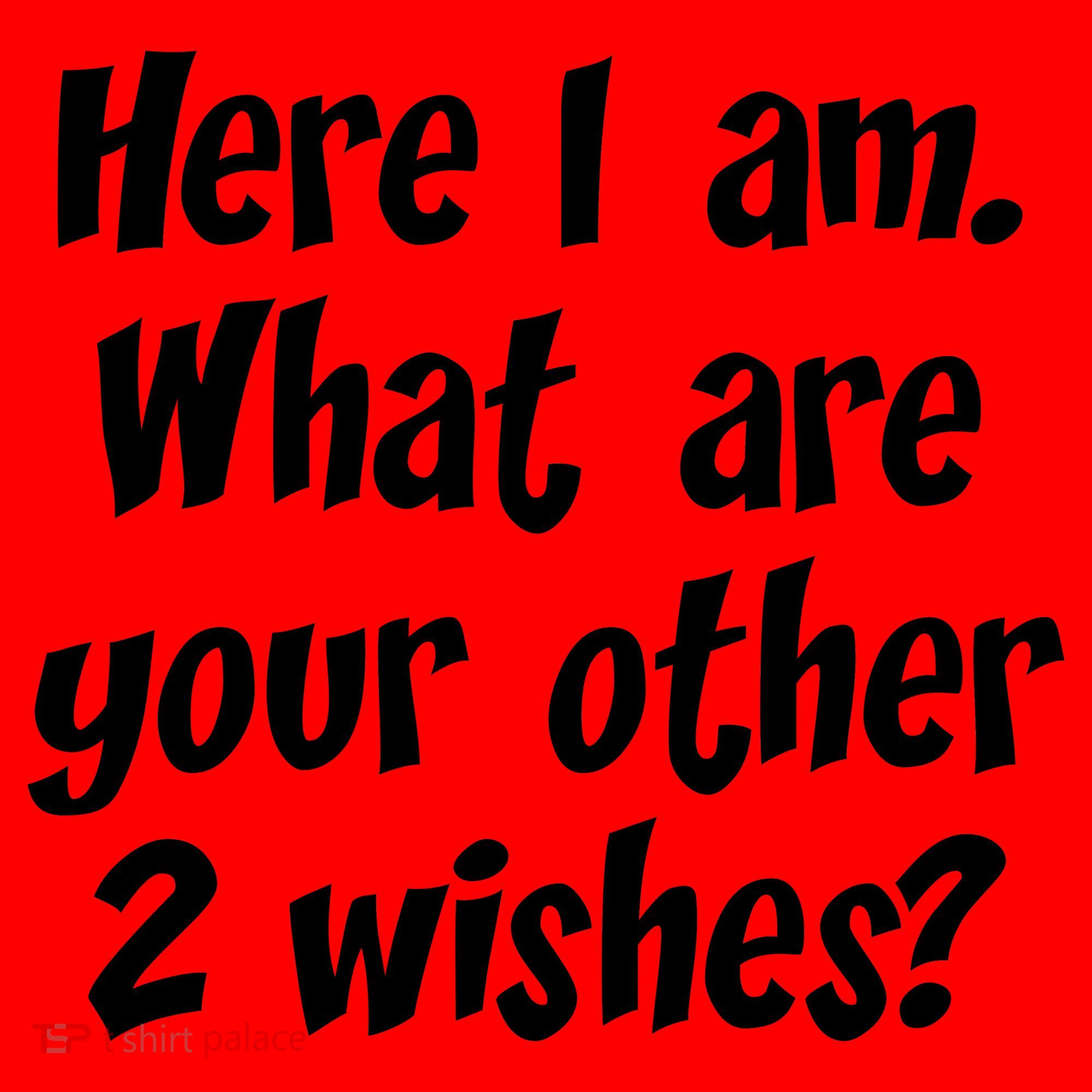Here I Am, What Are Your Other Two Wishes Santa Hat