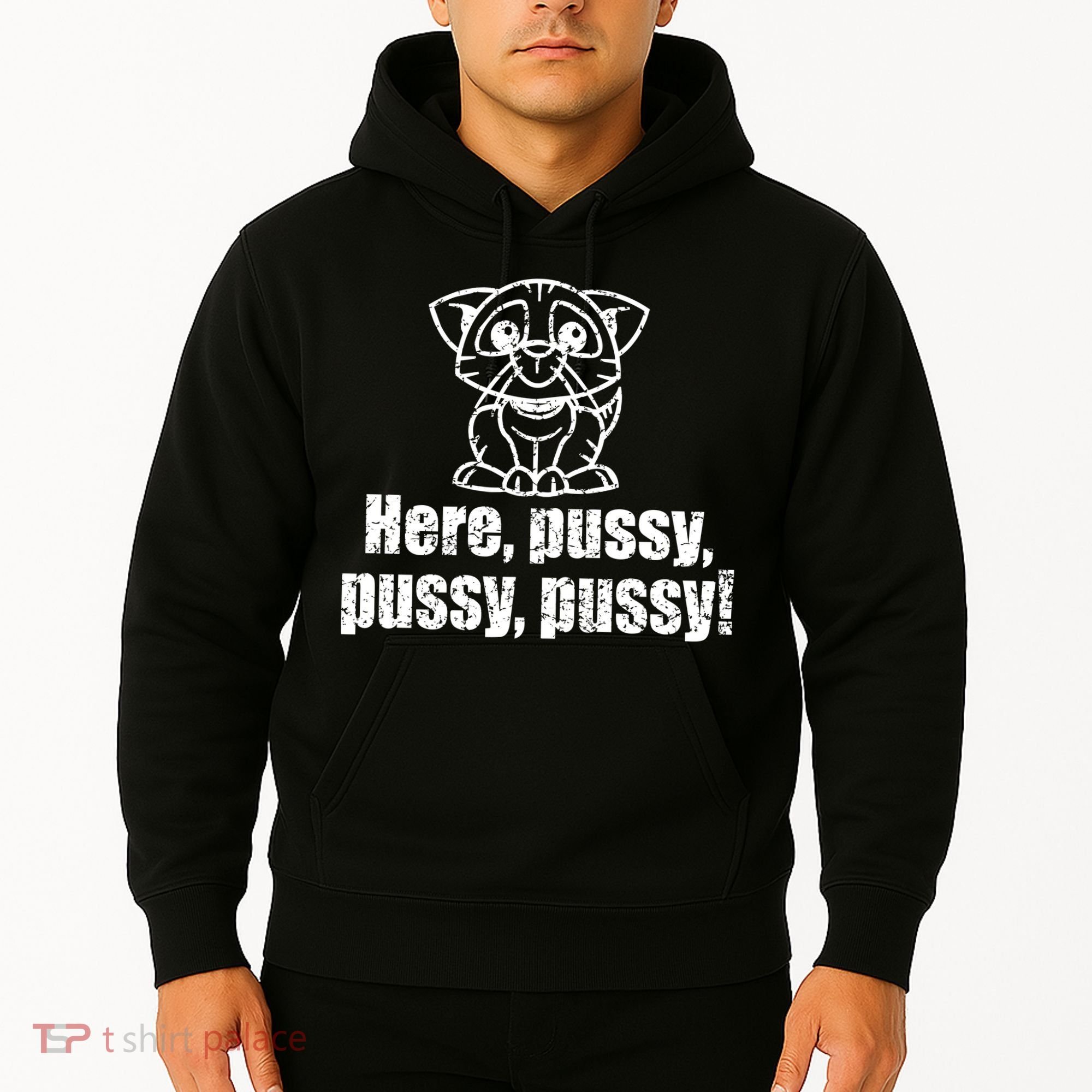 Here Pussy Pussy Pussy Cat Hoodie