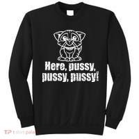 Here Pussy Pussy Pussy Cat Sweatshirt thumb 0