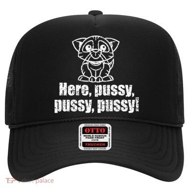 Here Pussy Pussy Pussy Cat Hat