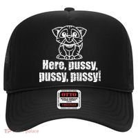 Here Pussy Pussy Pussy Cat Hat thumb 0