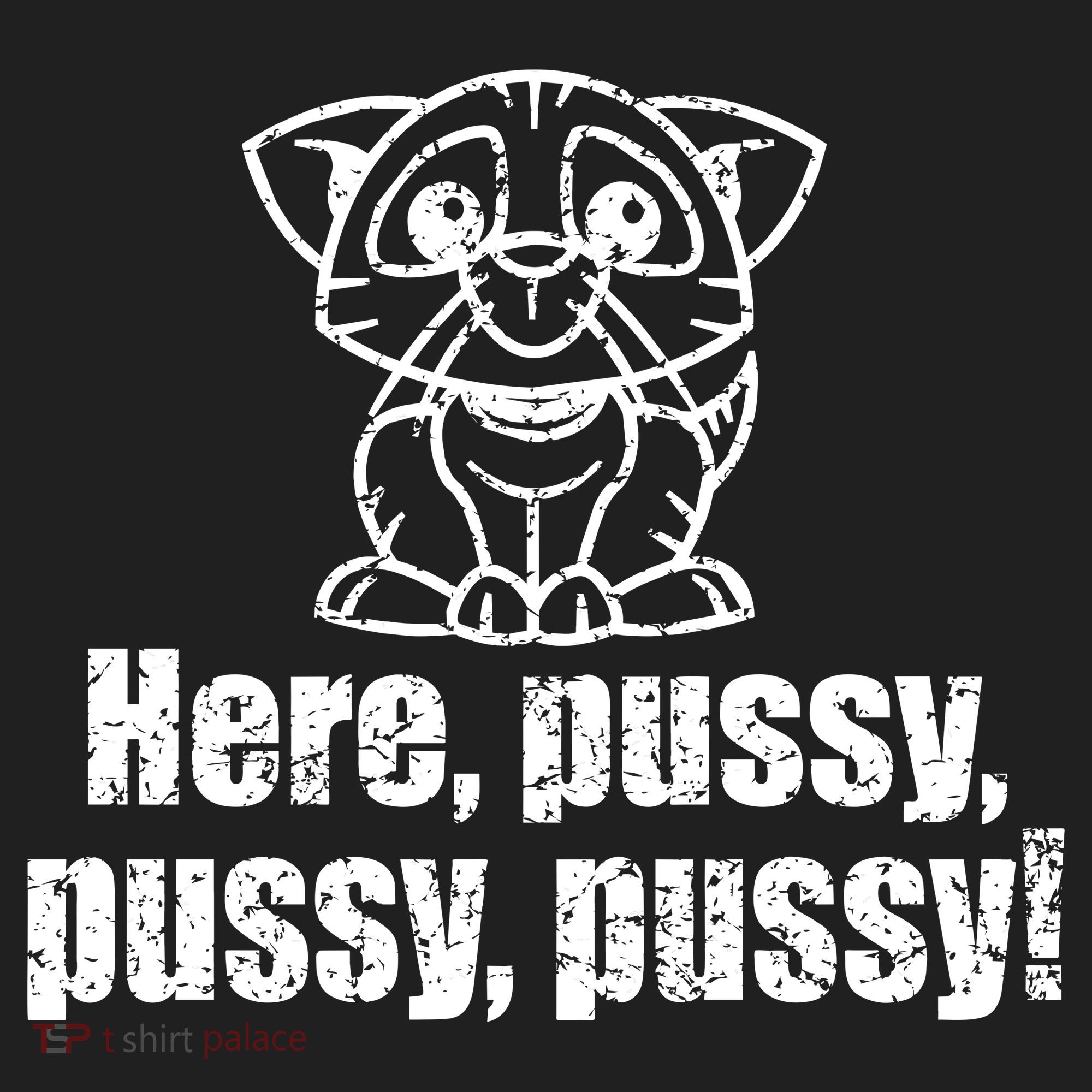 Here Pussy Pussy Pussy Cat Hat
