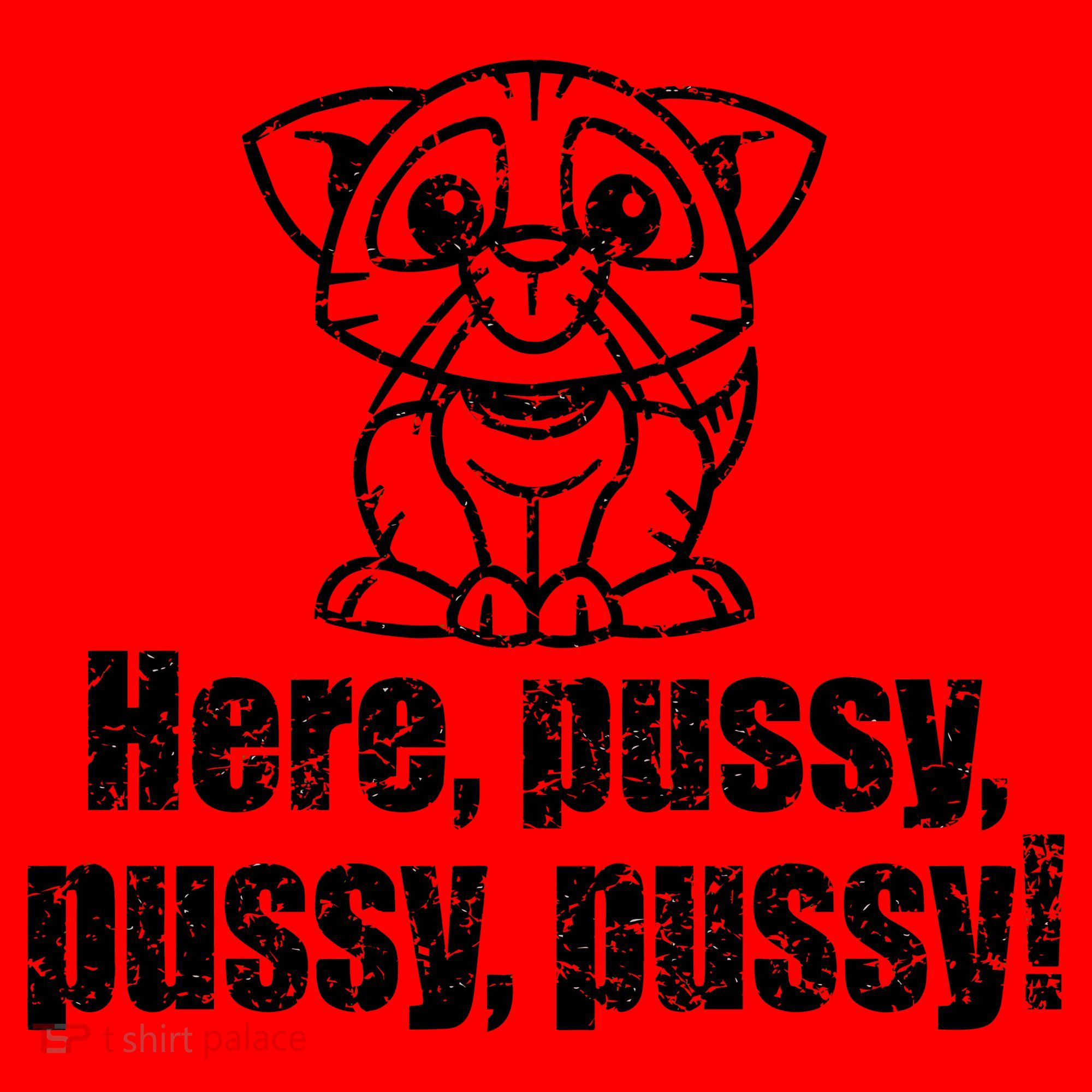 Here Pussy Pussy Pussy Cat Santa Hat