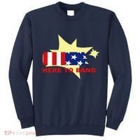 Here To Bang Independence Day 4th of July Sweatshirt thumb 0