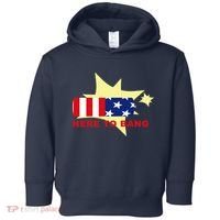 Here To Bang Independence Day 4th of July Toddler Hoodie thumb 0