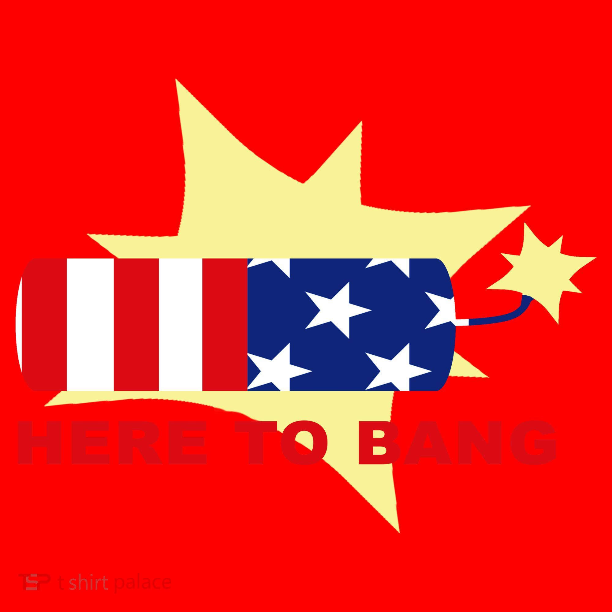 Here To Bang Independence Day 4th of July Santa Hat