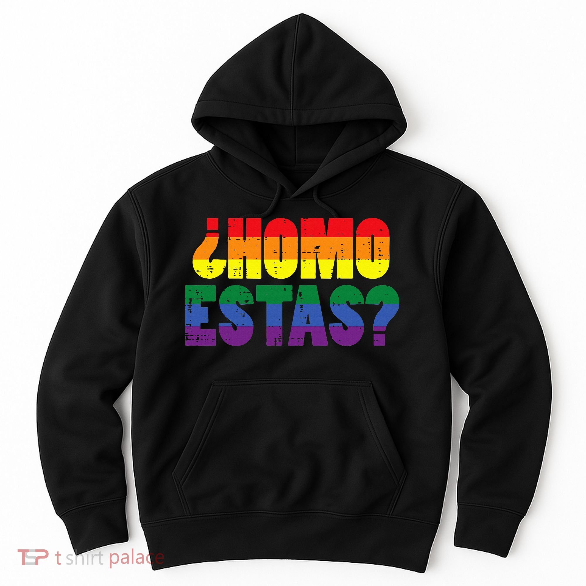 Homo Estas Spanish Mexican Funny Pride Ally Lgbt Month Hoodie