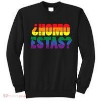 Homo Estas Spanish Mexican Funny Pride Ally Lgbt Month Sweatshirt thumb 0