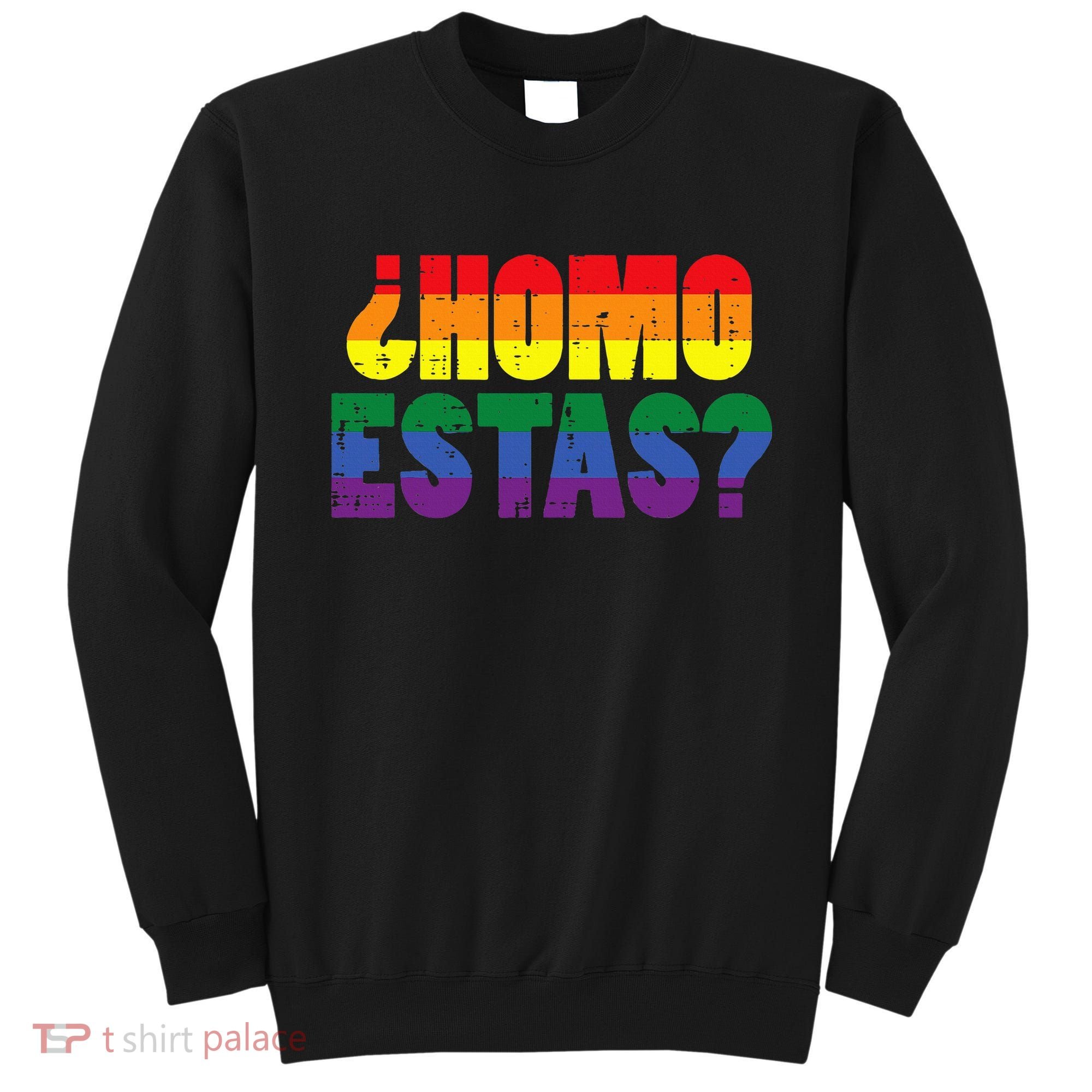 Homo Estas Spanish Mexican Funny Pride Ally Lgbt Month Sweatshirt