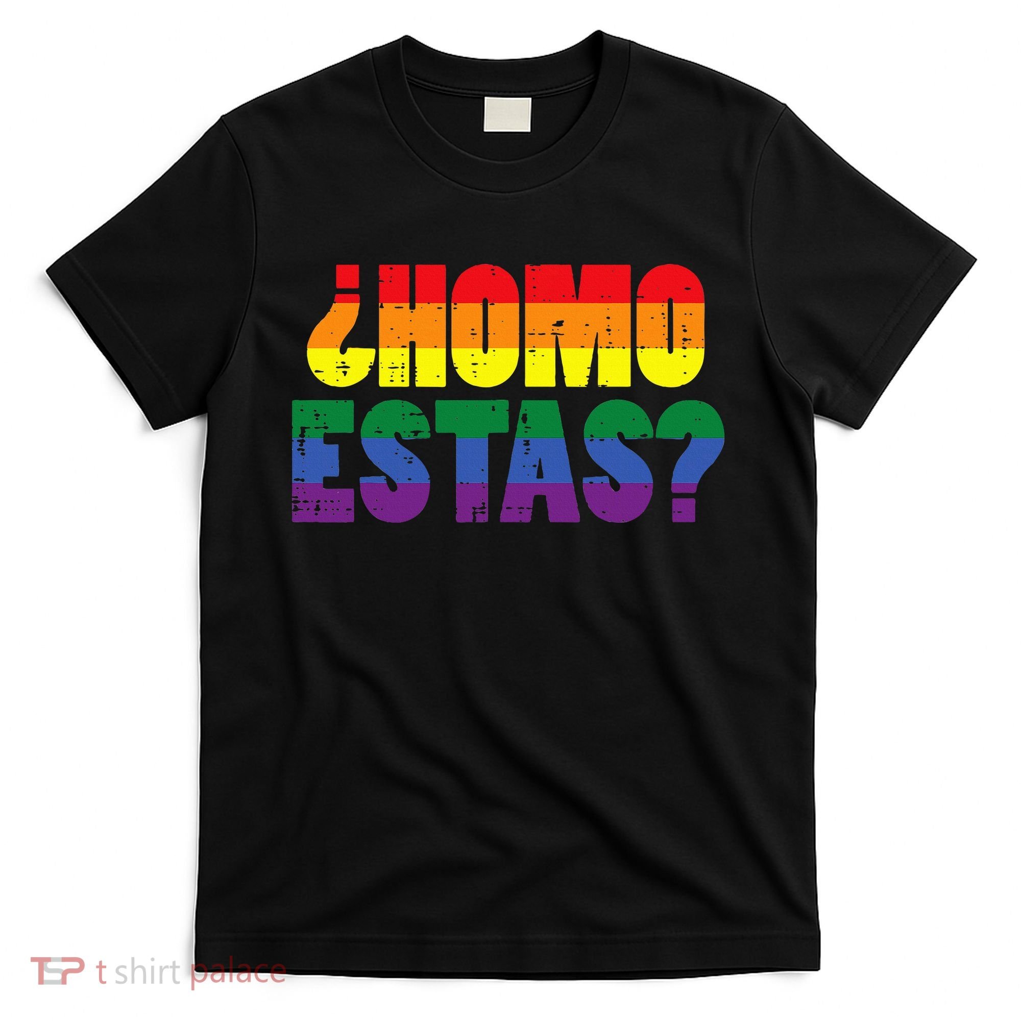 Homo Estas Spanish Mexican Funny Pride Ally Lgbt Month T-Shirt
