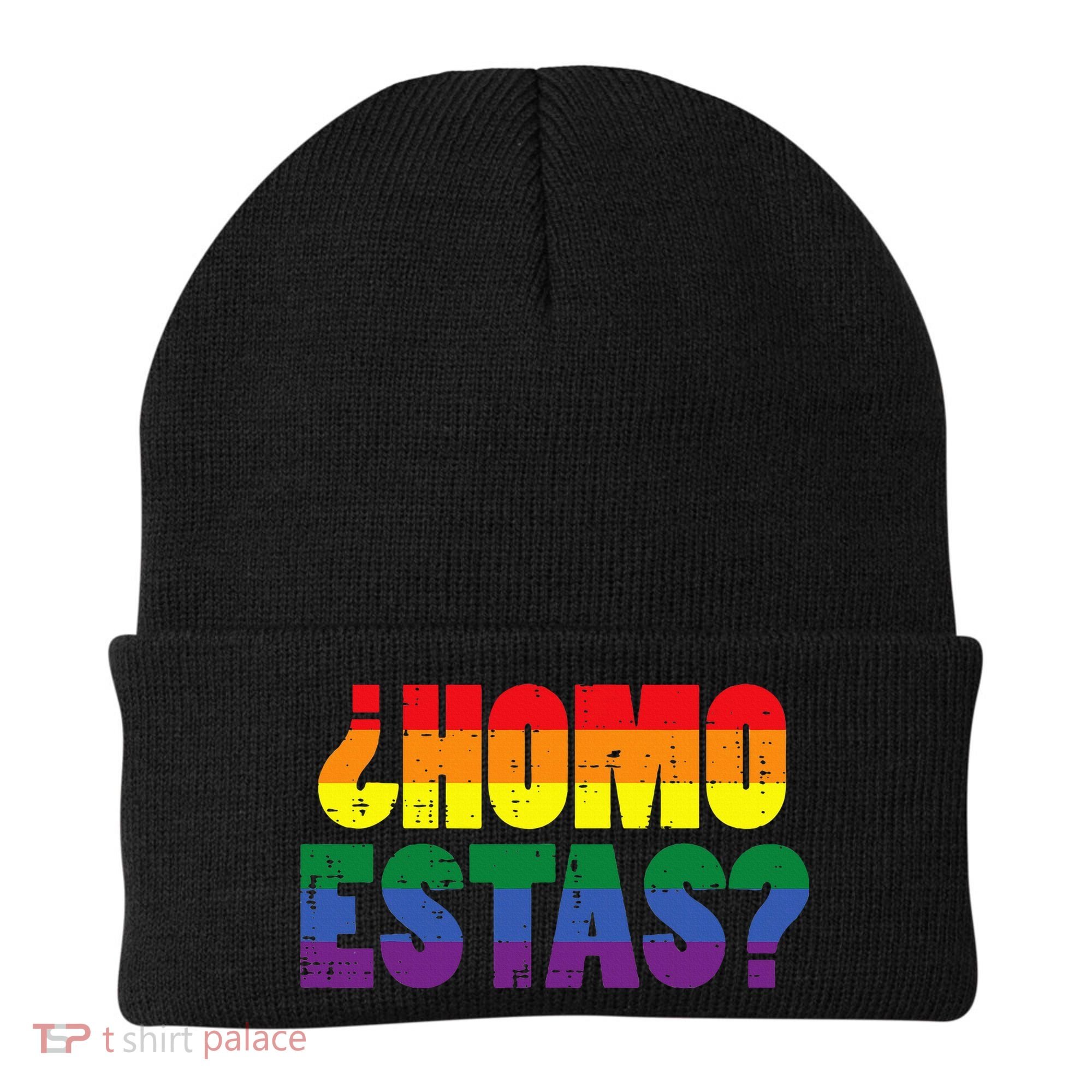Homo Estas Spanish Mexican Funny Pride Ally Lgbt Month Beanie