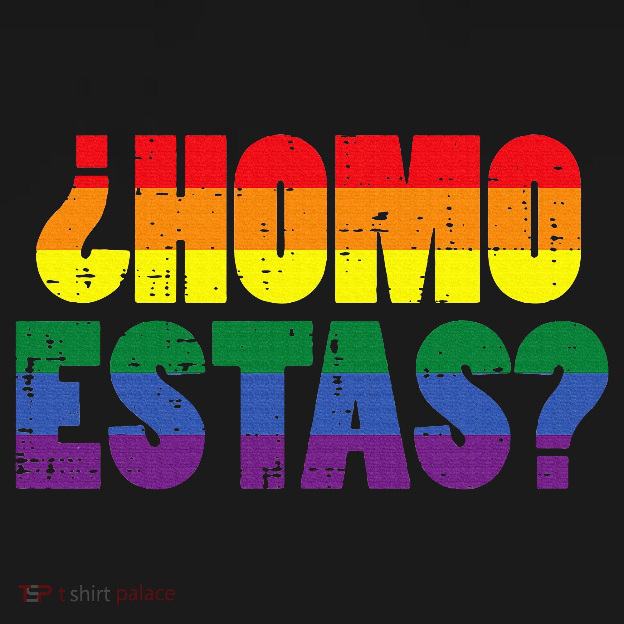Homo Estas Spanish Mexican Funny Pride Ally Lgbt Month Women's Hoodie