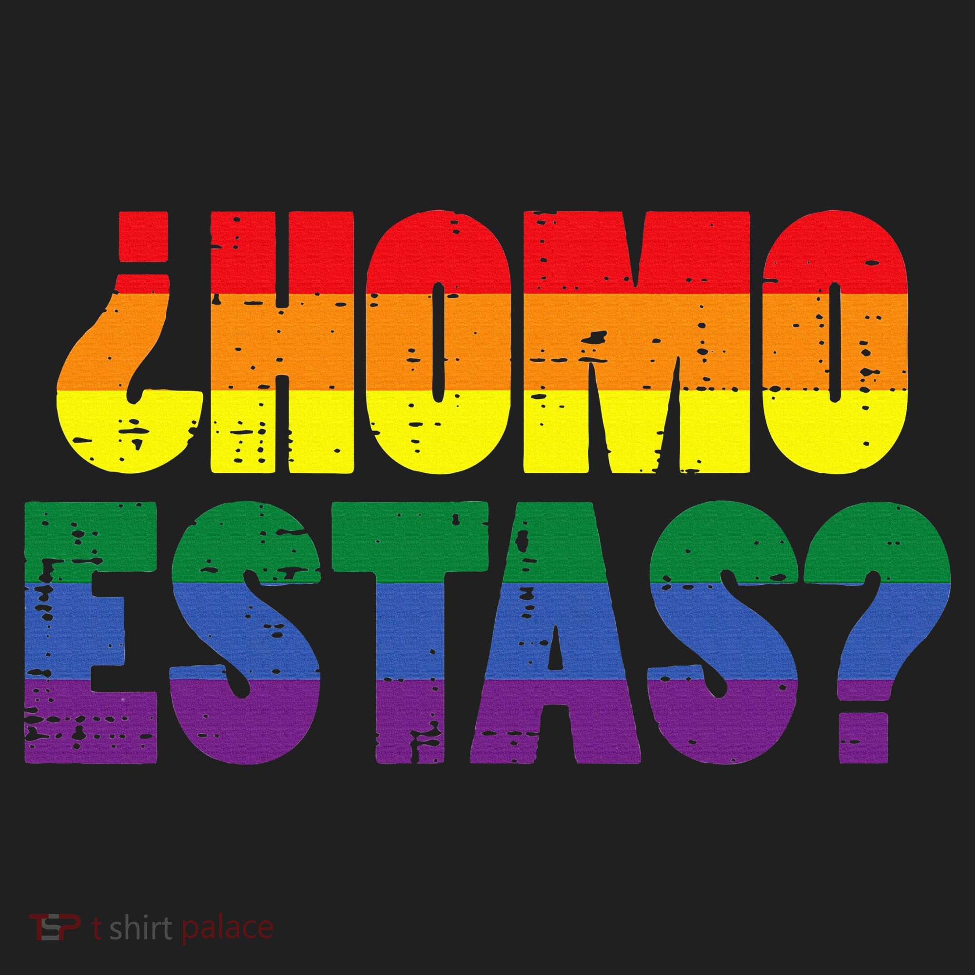 Homo Estas Spanish Mexican Funny Pride Ally Lgbt Month Hat