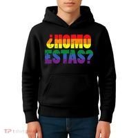 Homo Estas Spanish Mexican Funny Pride Ally Lgbt Month Kids Hoodie thumb 4