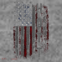 Hoyt Family American Flag Toddler Hoodie thumb 2