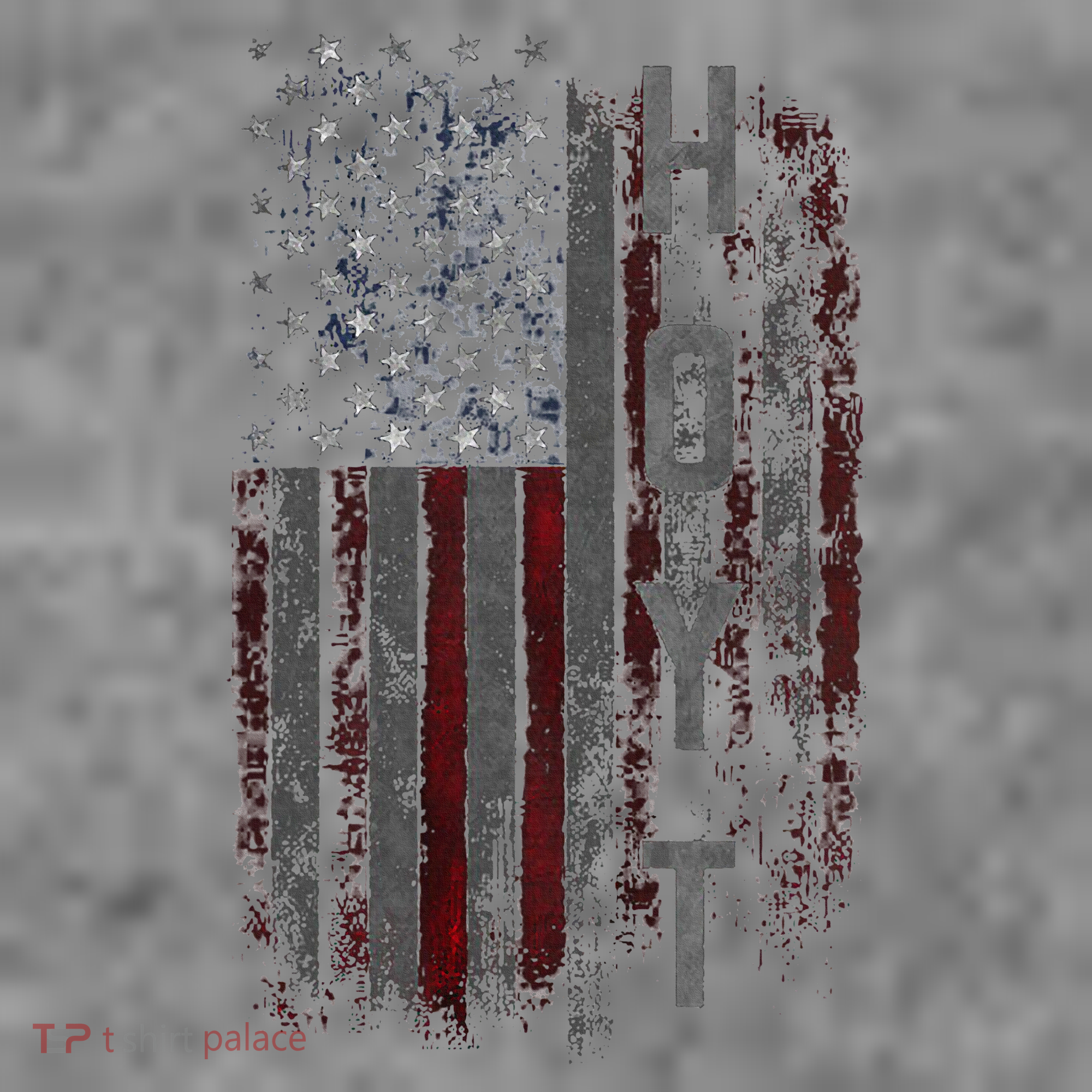 Hoyt Family American Flag Toddler Hoodie