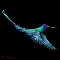 Hummingbird From A Splash Hoodie thumb 7