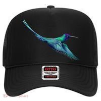 Hummingbird From A Splash Hat thumb 0