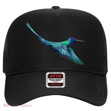 Hummingbird From A Splash Hat