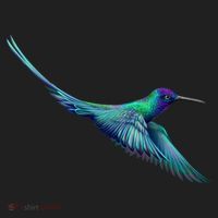 Hummingbird From A Splash Hat thumb 2