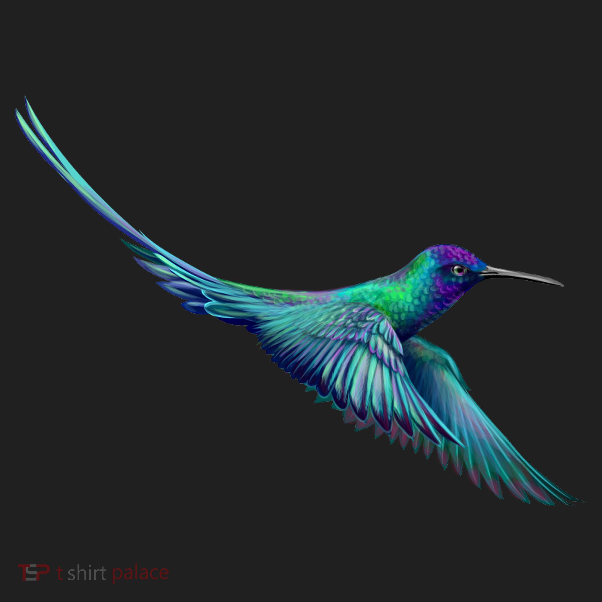 Hummingbird From A Splash Hat