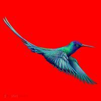 Hummingbird From A Splash Santa Hat thumb 1