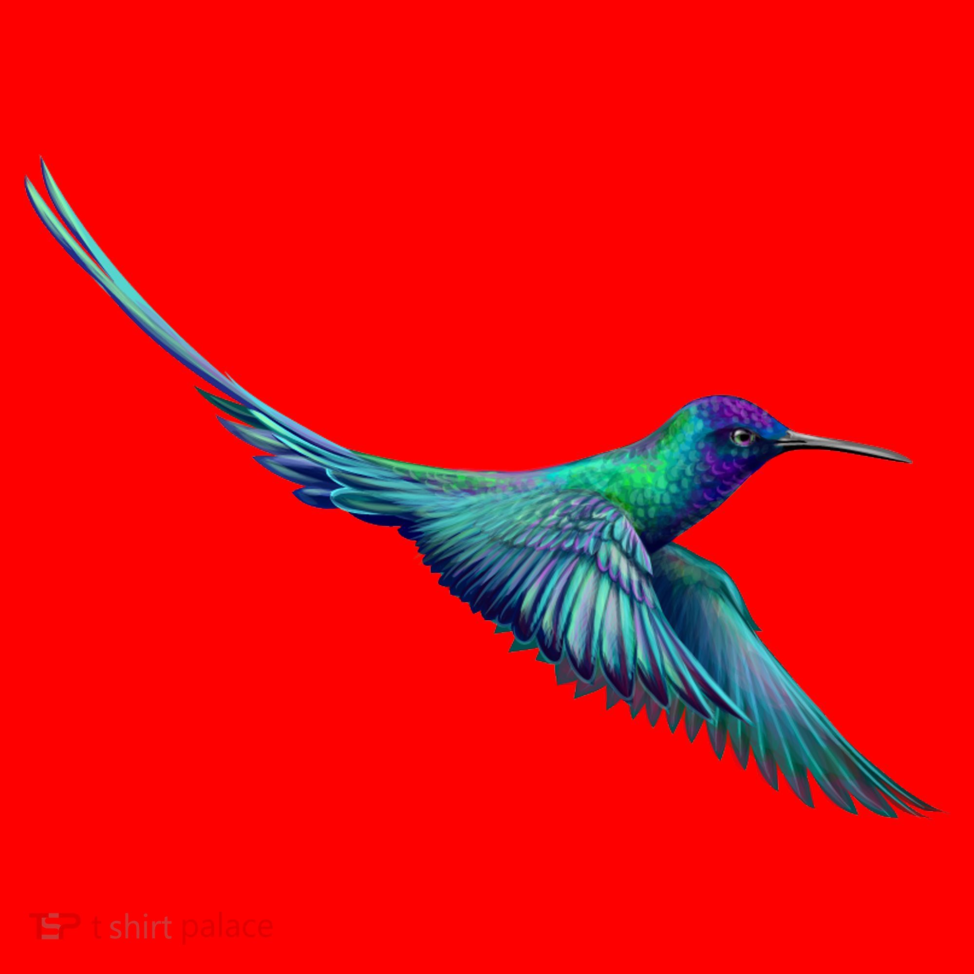 Hummingbird From A Splash Santa Hat