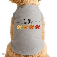 Hello Fall Cozy Nature Doggie Tank thumb 0
