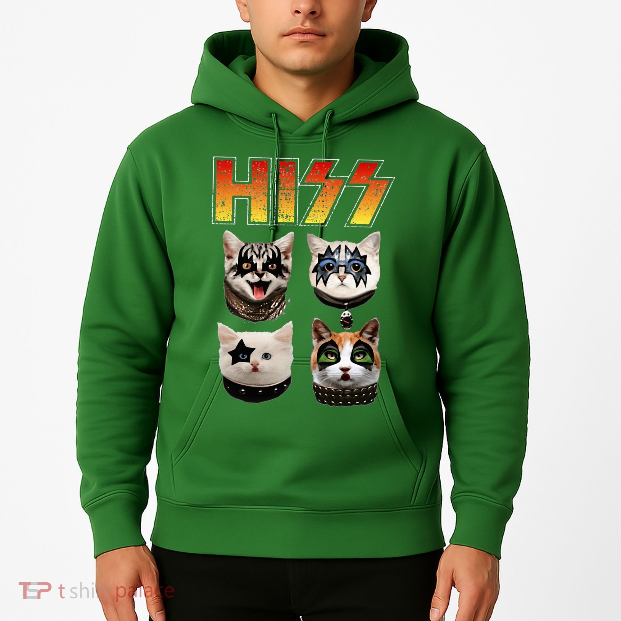 Hiss Funny Cat Lover Gift Hoodie