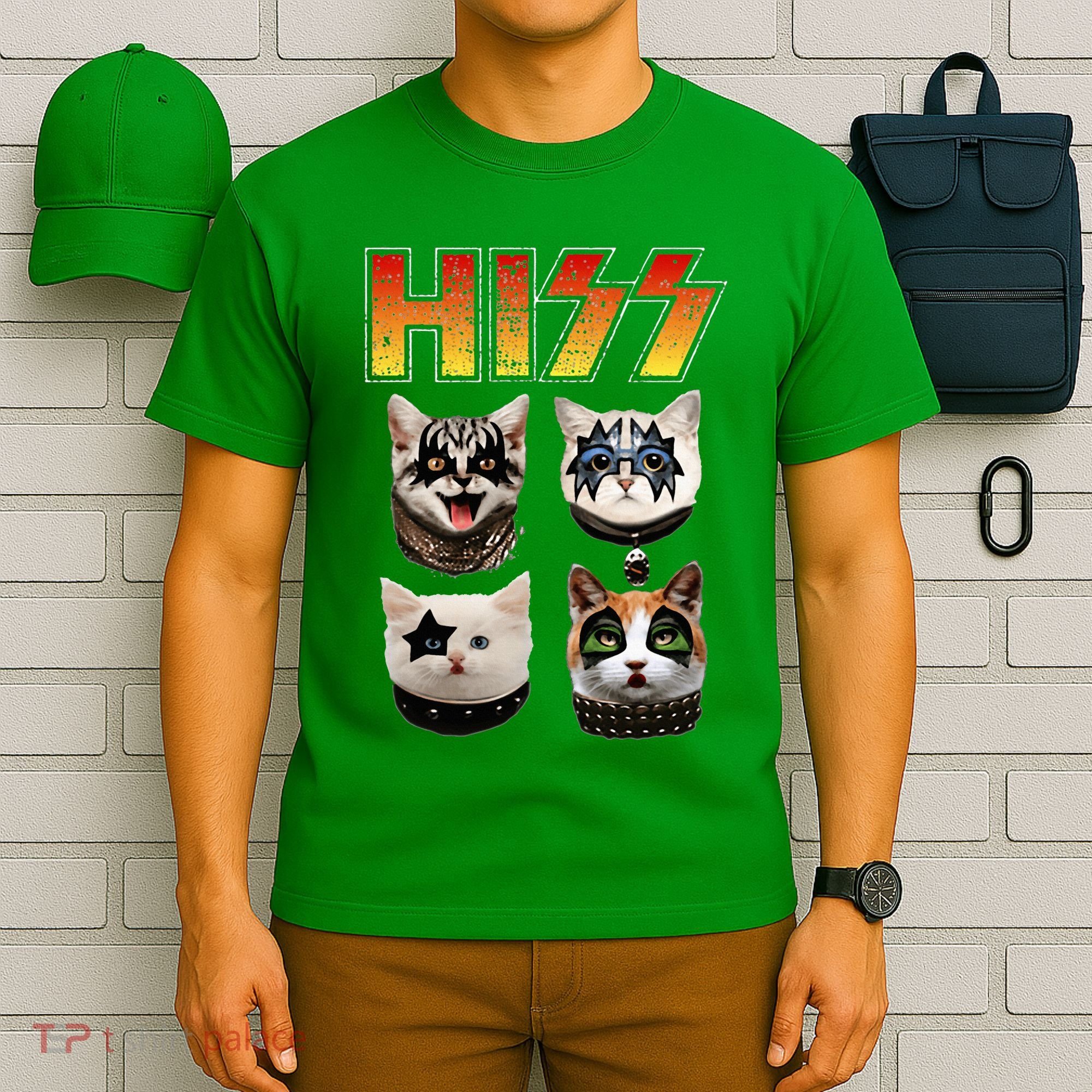 Hiss Funny Cat Lover Gift T-Shirt